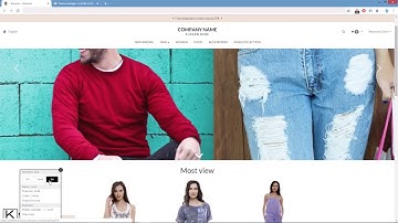 Developer plugins & bookmarks; The Kooomo Partner Program Design & Development Tutorials