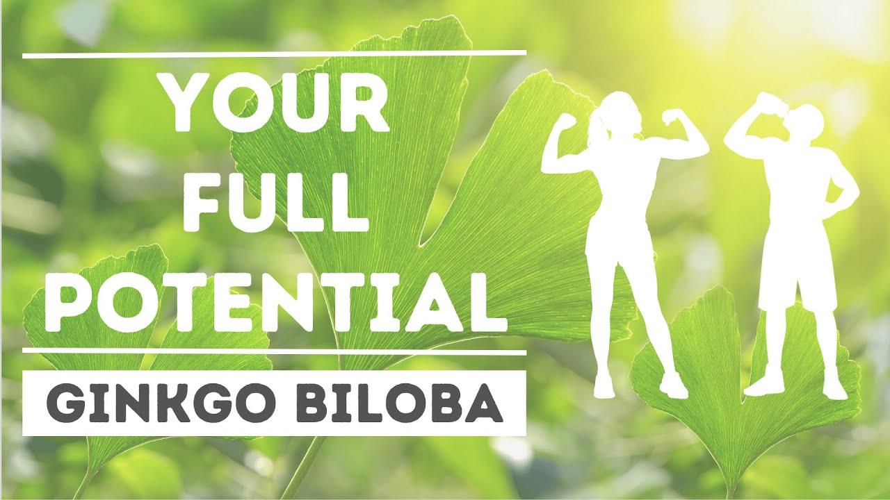 How I Found My Full Potential Using ONLY This! (Ginkgo Biloba) YouTube
