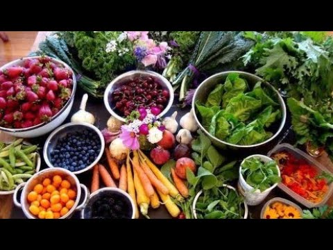 Video: Zašto čovjeku Treba Hrana?