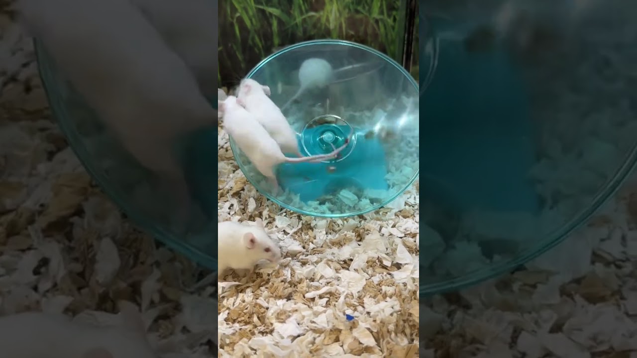 The Difference Between Motion and Progress: Elite Mindset vs Average