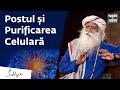 Modul Corect de a Ține Post Intermitent pentru Beneficii Maxime | Sadhguru