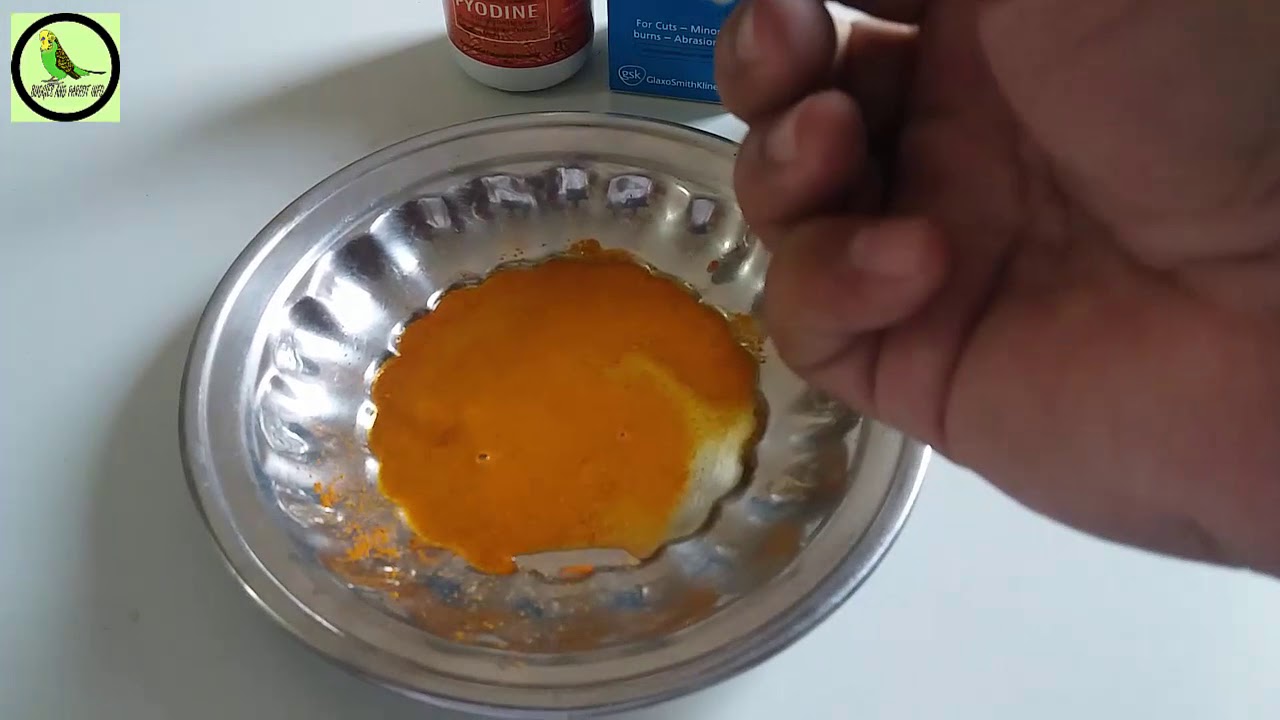 How to treat a injured birds, Zakhmi bird ka ilaj kaisay karain