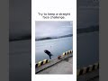 #funny