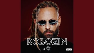 Robozin