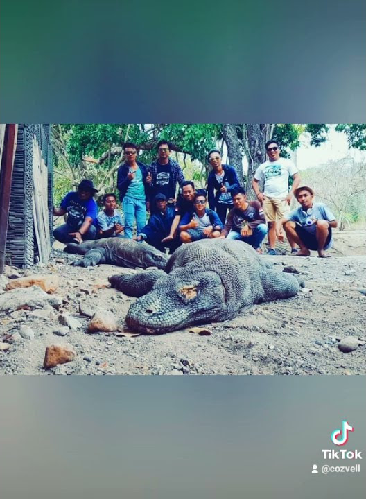 Story WA Pulau komodo|| Labuan Bajo||NTT