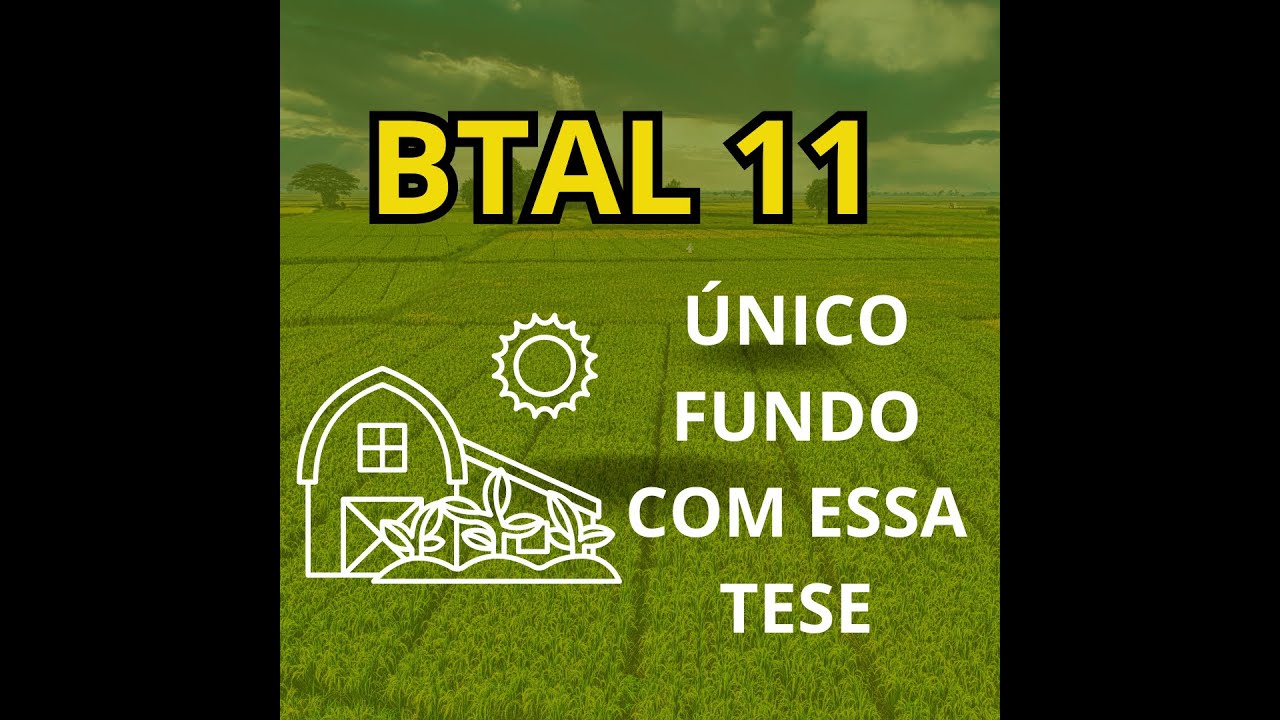 BTAL 11 - ÚNICO FUNDO COM ESSA TESE - YouTube