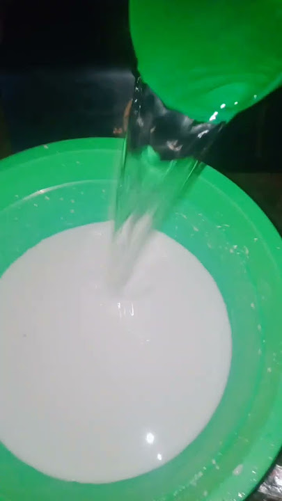 sebelum jadi papeda dari tepung kanji
