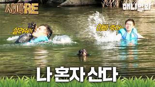 [사파RE] 달라도 너무 다르다! 배신감 100% 반려견과 든든함 100% 인명구조견🐶 #동물농장 #animalfarm