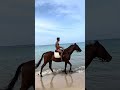 ターザンと馬🐎