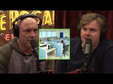 Joe x Tim Dillon Rant About Bullshit Office Jobs | Jre Uncut