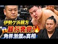 【衝撃】伊勢ケ浜親方暴行問題が発覚…角界に激震の真相とは😱🔥 #相撲 #大ニュース #春場所 #角界騒然