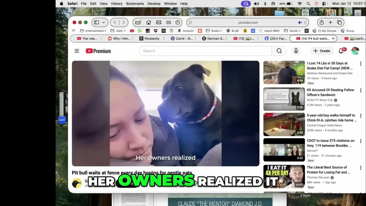 Scary Dog's Transformation: A Simple Sign Changed Everything 