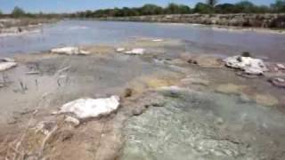LandsofAmerica.com: 60 acres in Texas