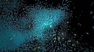 Boids