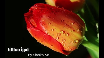 Surah AdhDhariyat Sheikh Majid Al Zamil سورة الذاريات الشيخ ماجد الزامل