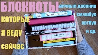 Мой личный дневник и другие блокноты, которые я веду / My current journals