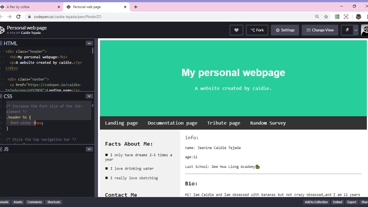 Responsive Web Design Projects Build a Technical Documentation Page ...