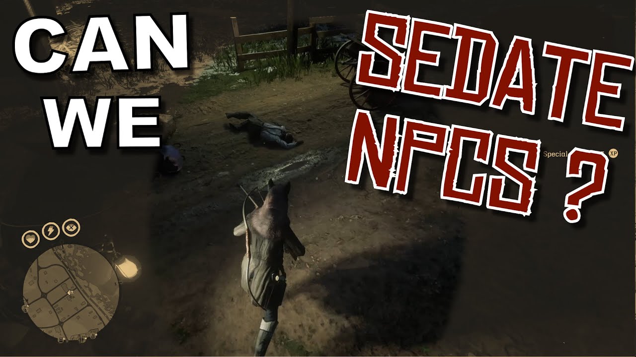 Does Sedative Ammo Work on NPCs?