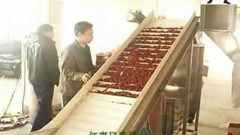 Palm Date Polishing Machine