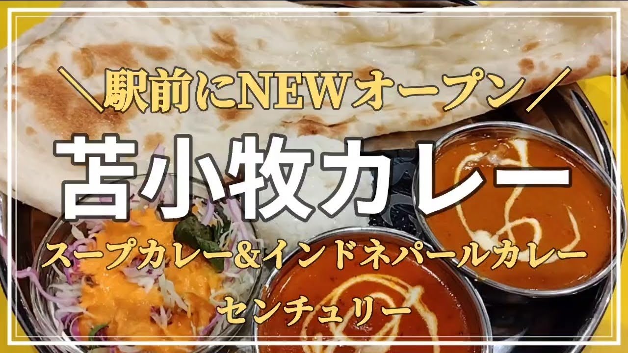 北海道グルメ】ナンおかわり無料！2025年7月オープン苫小牧駅近くの