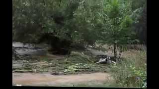 Convet Reka Ankina Bara X264