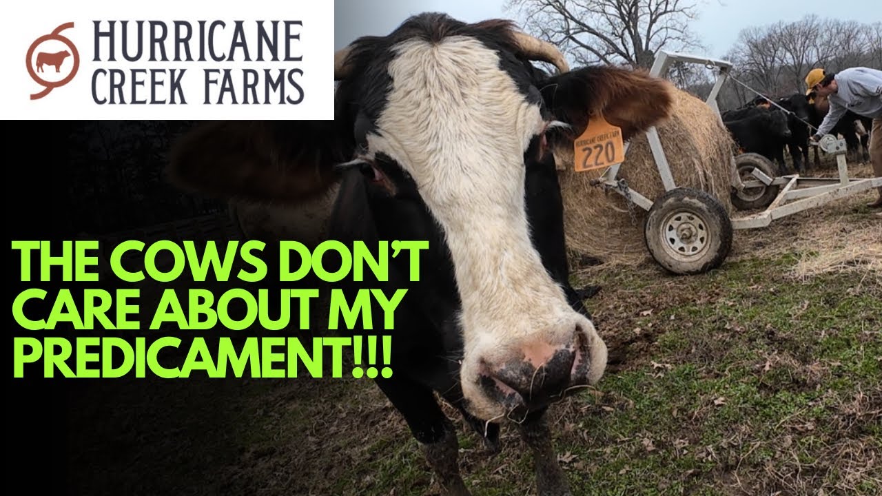 Как нам обеспечить продовольствием людей без трактора?