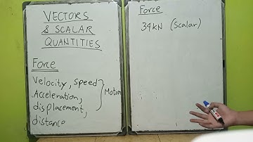 Vectors and Scalar Quantities (Physics for Engineers)-Tagalog