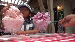 【夏休み旅行】日光霜降高原で遊んできました！徳次郎のかきごおりも最高　NIKKO