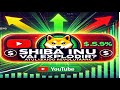 SHIBA INU VAI DISPARAR 500%? A Atualização Que Pode Transformar Seu Investimento em Ouro!