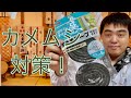 カメムシ対策！　効果があったので紹介します（令和元年11月30日）#208