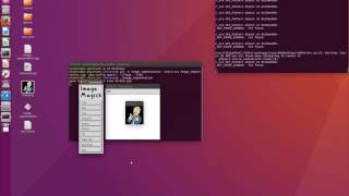 Interactive Image Segmentation using Max Flow