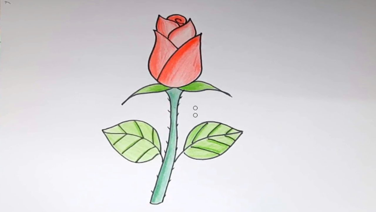 Rose Drawing Easy Step by Step | How to Draw a Rose | Sabila Drawing ...