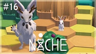 The Language of Bunnies | Niche: A Genetics Survival Game Let's Play - Episode 16