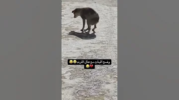 حرف الواو وردة 