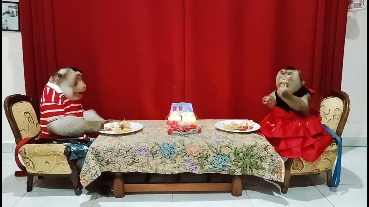 saturday-night-dinner-youtube