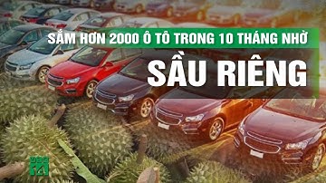 Người dân thủ phủ sầu riêng Đắk Lắk mua hơn 2.000 ô tô trong 10 tháng | VTC14