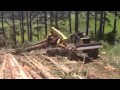 Tigercat 635D, Logging, Northland, New Zealand