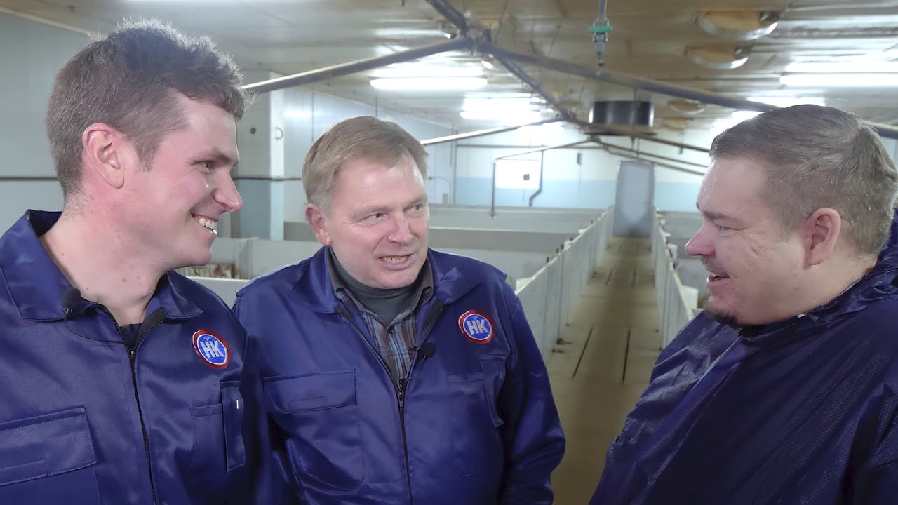 Mikä on possupihvin salaisuus? Arimo kurkistaa vuoden sikatuottajan, MTY Korvenojan, tilalle