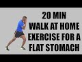 20 Minute Walk at Home Exercise for A Flat Stomach 🔥 Walk 2500 Steps - Burn 200 Calories 🔥