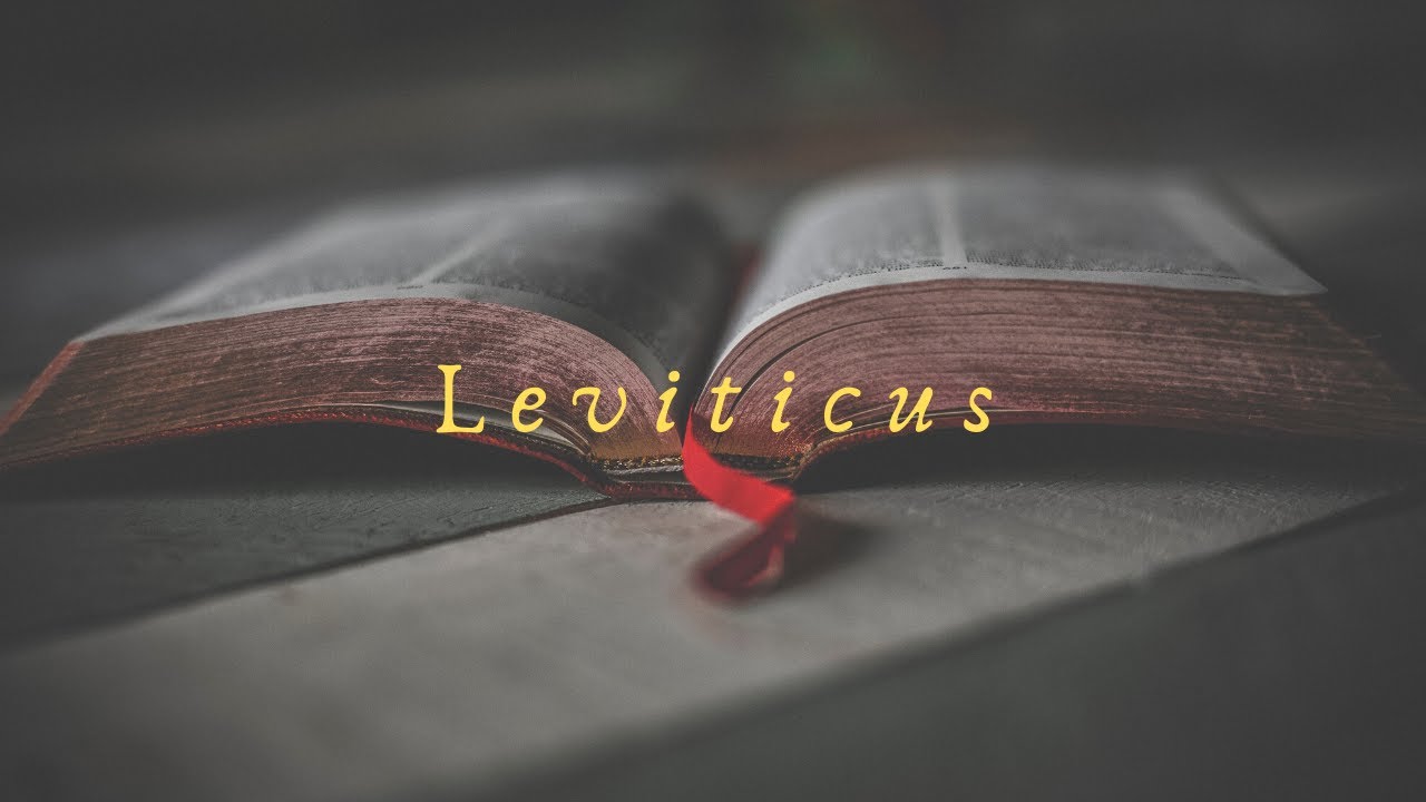 Audio Bible OT Leviticus NKJV YouTube