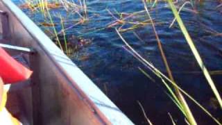 sawgrass2.MOV