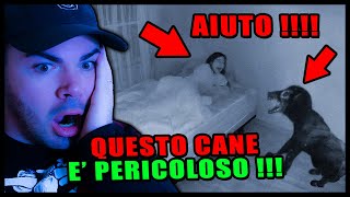 QUESTO CANE E' PERICOLOSO !!! *terrificante e spaventoso* REACTION