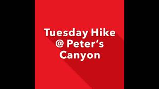 Get Your Dog Out On Trail With Go Adventure