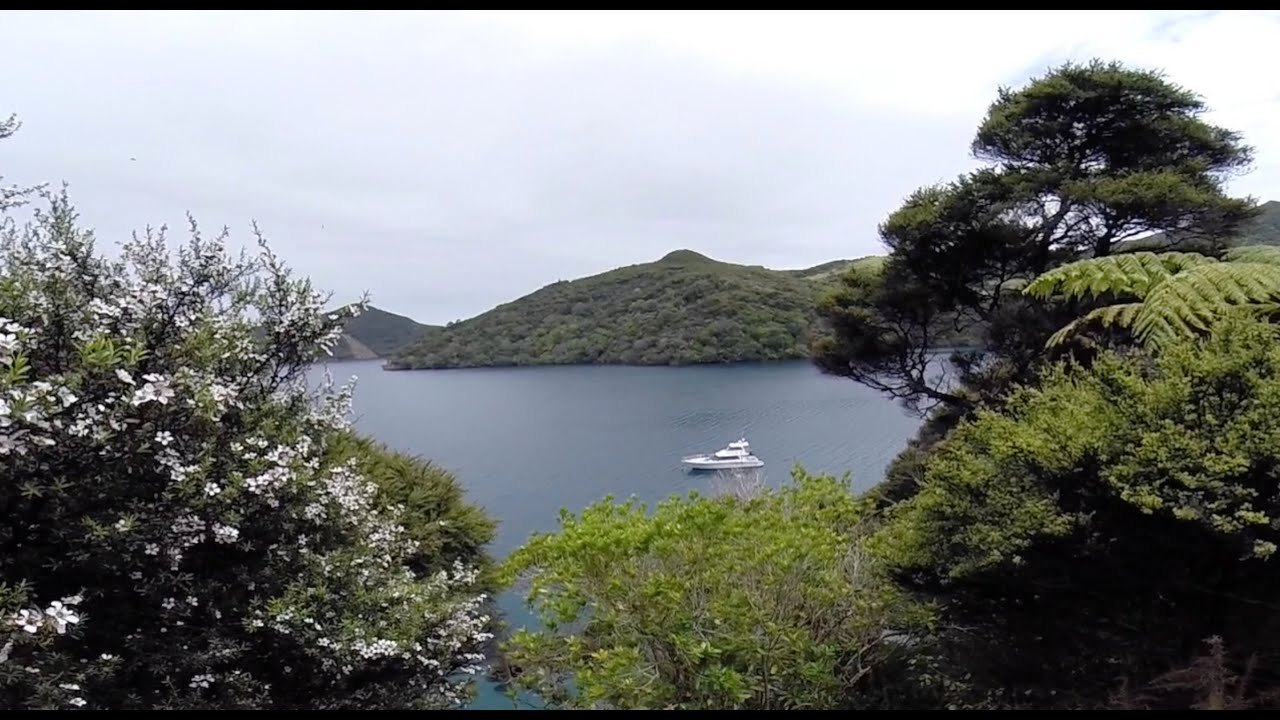 SAILING GREAT BARRIER ISLAND  –  NEW ZEALAND