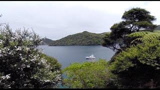 SAILING GREAT BARRIER ISLAND  -  NEW ZEALAND