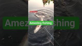 “OMG Rohu Catch 😱” #rohufish #rohu #shorts #fishing #viral