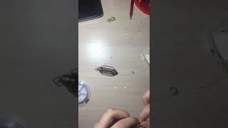 Снасть«убийца карася» своими руками.