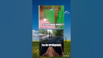 Смешные мемы #мем #memes #shorts #смешно #жиза