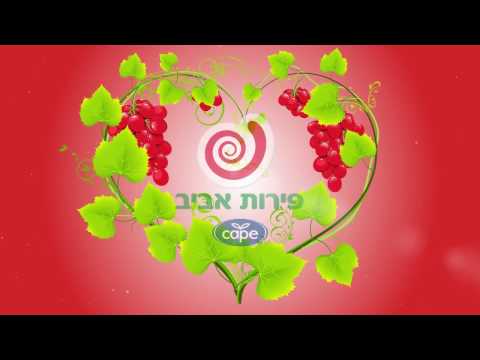 וִידֵאוֹ: פריחה לבנה על ענבים: כיצד לעבד אם עלים ופירות יער מכוסים בפריחה? מדוע זה הופיע?