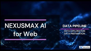 NexusMax AI For Web - Data Exploration and Preparation